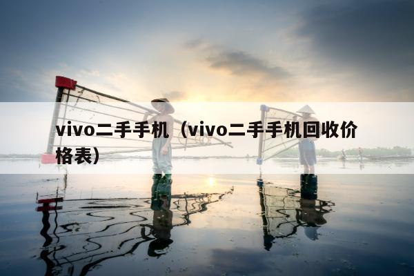 vivo二手手机（vivo二手手机回收价格表）