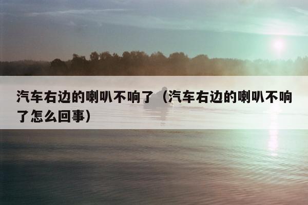 汽车右边的喇叭不响了（汽车右边的喇叭不响了怎么回事）