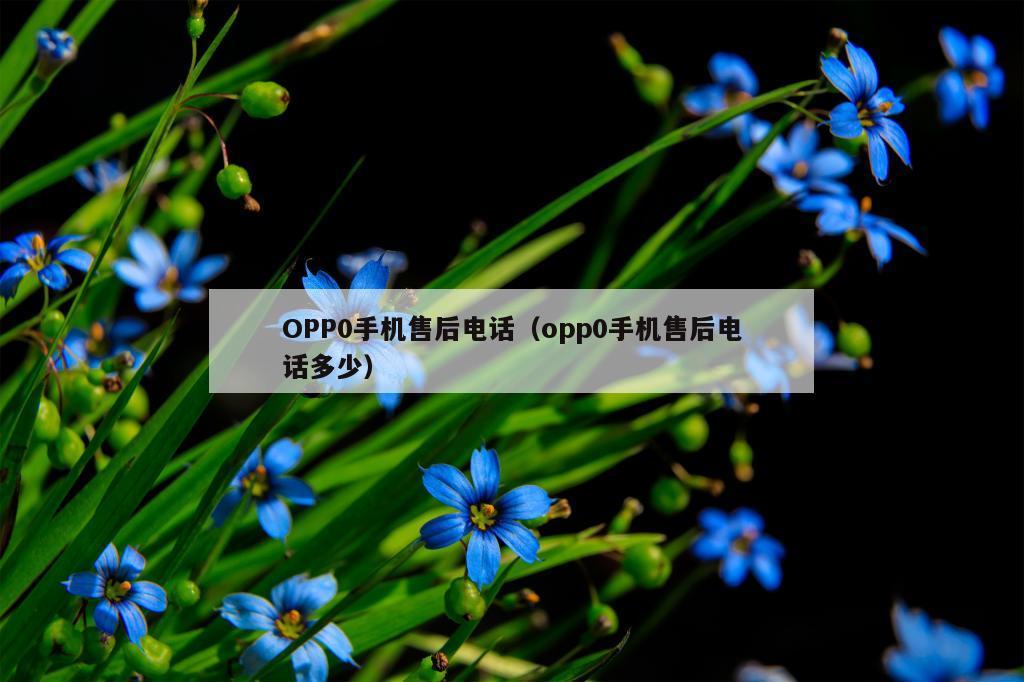 OPP0手机售后电话（opp0手机售后电话多少）