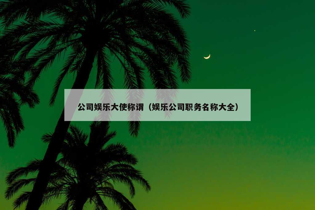 公司娱乐大使称谓（娱乐公司职务名称大全）