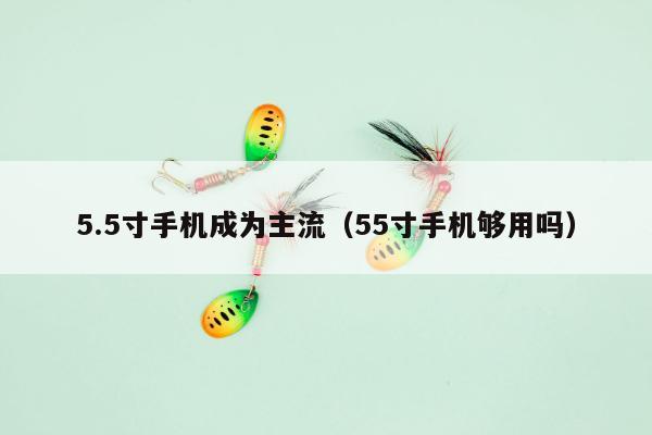 5.5寸手机成为主流（55寸手机够用吗）