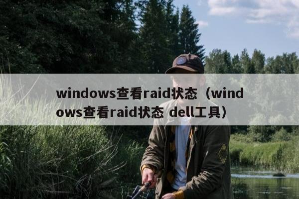 windows查看raid状态（windows查看raid状态 dell工具）