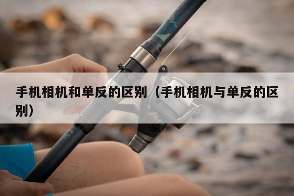 手机相机和单反的区别（手机相机与单反的区别）