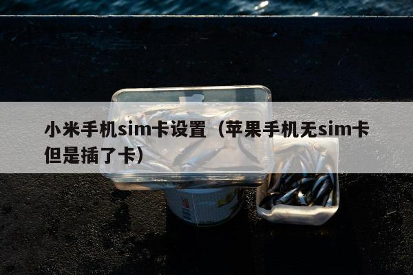 小米手机sim卡设置（苹果手机无sim卡但是插了卡）