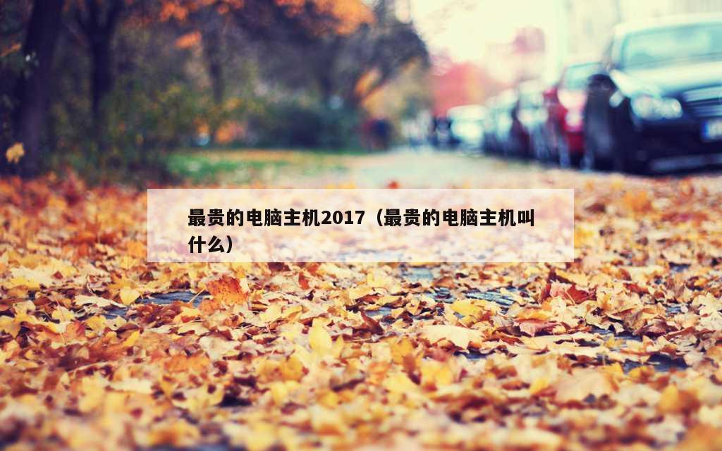 最贵的电脑主机2017（最贵的电脑主机叫什么）