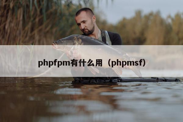 phpfpm有什么用（phpmsf）