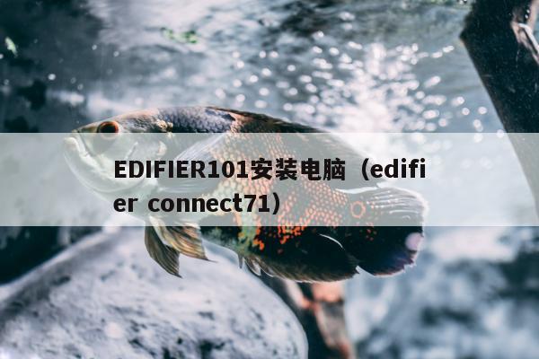 EDIFIER101安装电脑（edifier connect71）