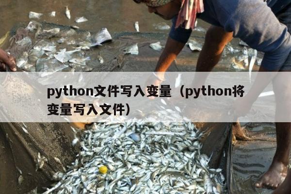 python文件写入变量（python将变量写入文件）