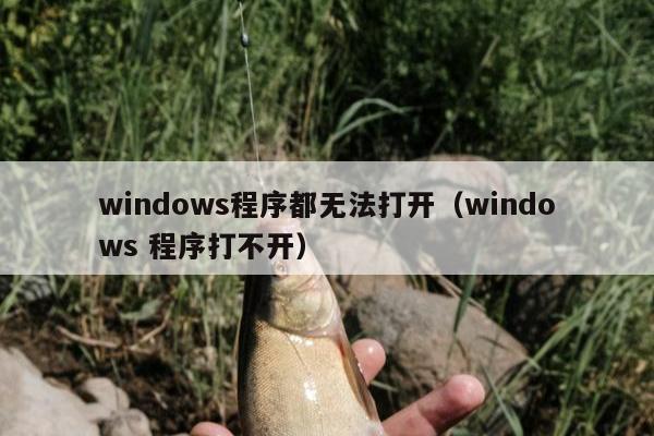 windows程序都无法打开（windows 程序打不开）