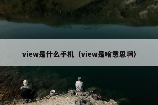 view是什么手机（view是啥意思啊）