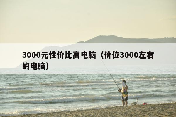 3000元性价比高电脑（价位3000左右的电脑）