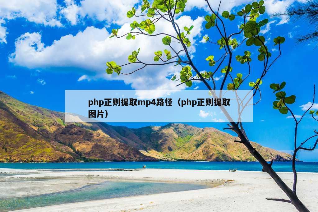 php正则提取mp4路径（php正则提取图片）