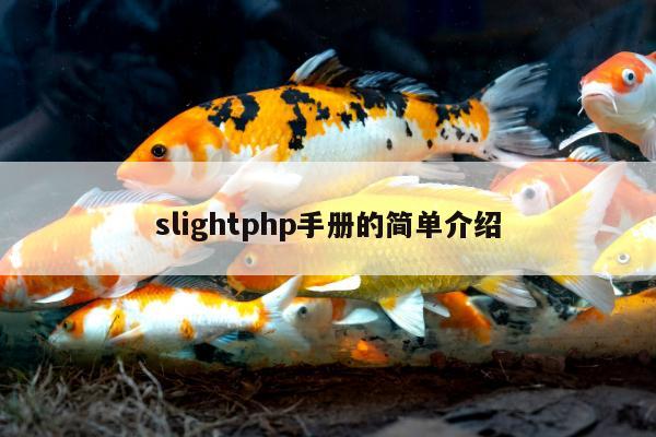 slightphp手册的简单介绍