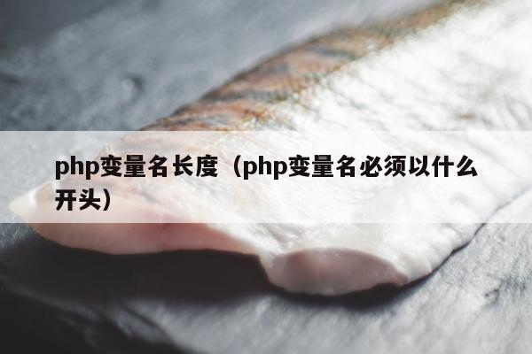 php变量名长度（php变量名必须以什么开头）