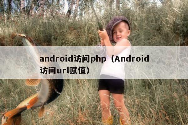 android访问php（Android访问url赋值）