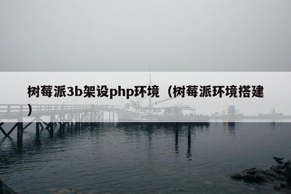 树莓派3b架设php环境（树莓派环境搭建）