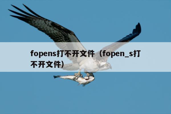 fopens打不开文件（fopen_s打不开文件）