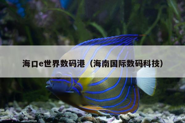 海口e世界数码港（海南国际数码科技）