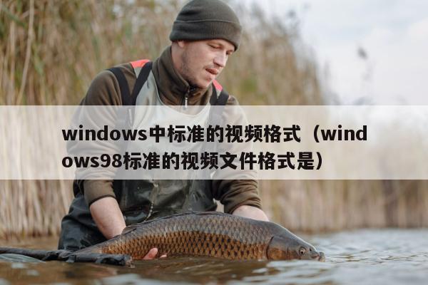 windows中标准的视频格式（windows98标准的视频文件格式是）