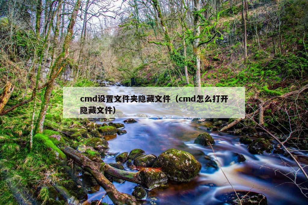 cmd设置文件夹隐藏文件（cmd怎么打开隐藏文件）