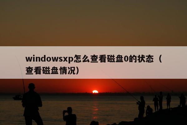 windowsxp怎么查看磁盘0的状态（查看磁盘情况）