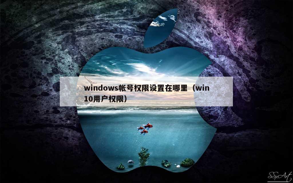 windows帐号权限设置在哪里（win10用户权限）