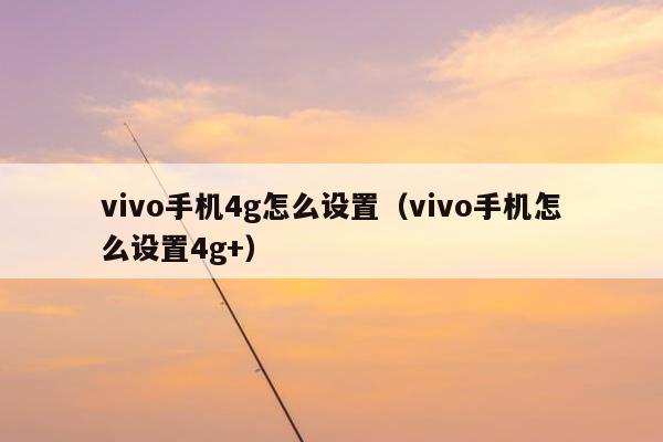 vivo手机4g怎么设置（vivo手机怎么设置4g+）