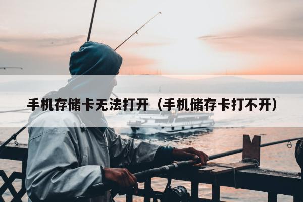 手机存储卡无法打开（手机储存卡打不开）