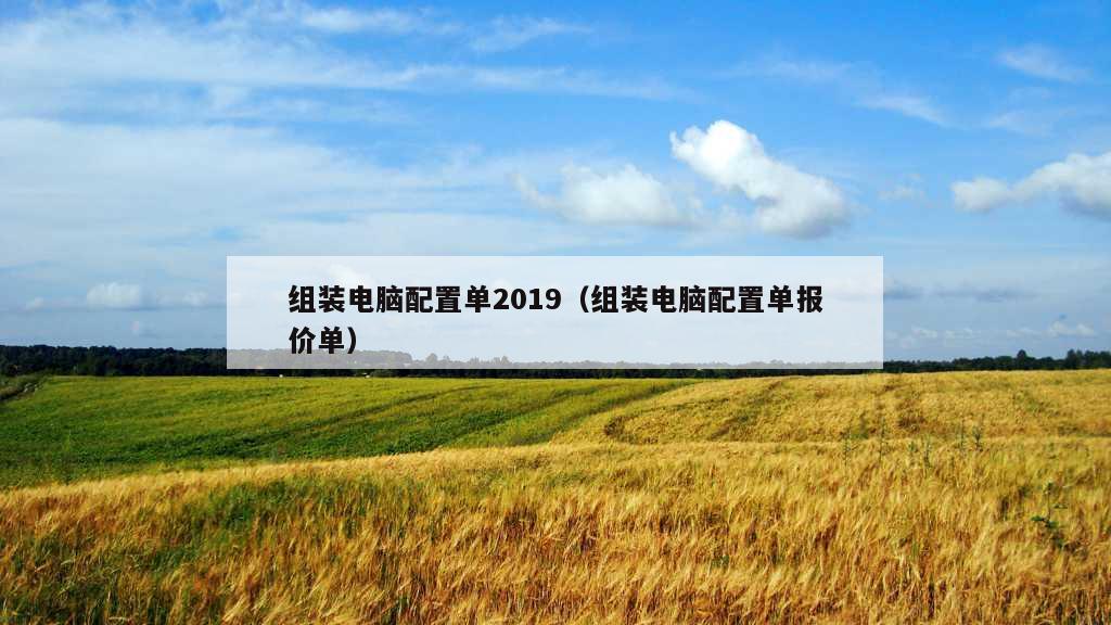 组装电脑配置单2019（组装电脑配置单报价单）