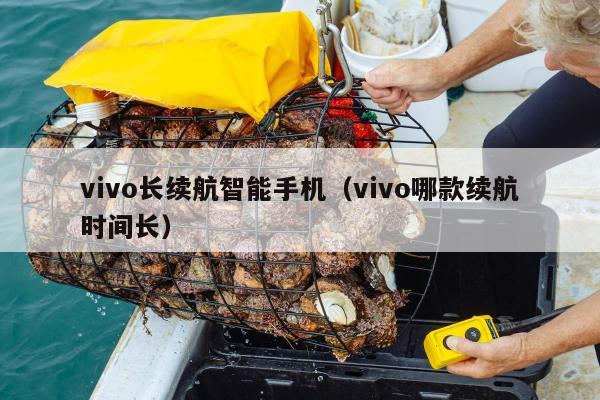 vivo长续航智能手机（vivo哪款续航时间长）