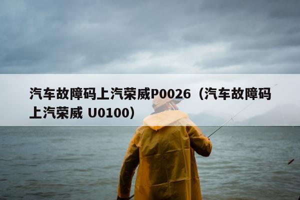 汽车故障码上汽荣威P0026（汽车故障码上汽荣威 U0100）