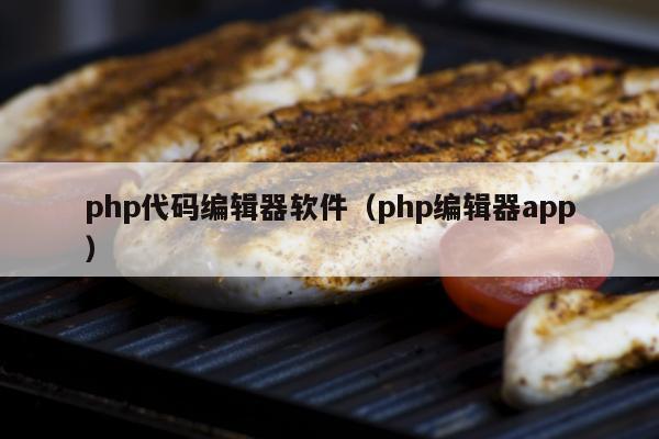 php代码编辑器软件（php编辑器app）