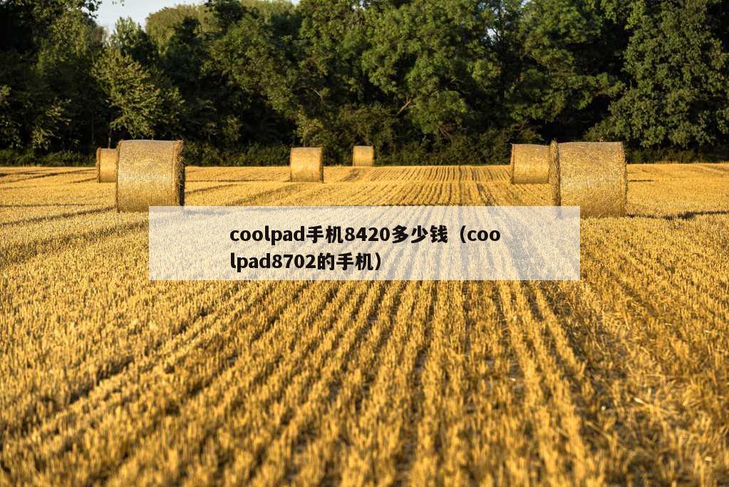 coolpad手机8420多少钱（coolpad8702的手机）