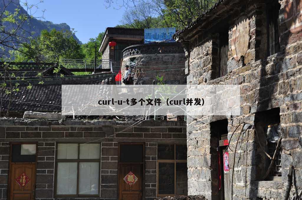 curl-u-t多个文件（curl并发）