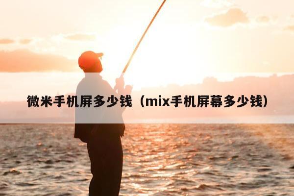 微米手机屏多少钱（mix手机屏幕多少钱）