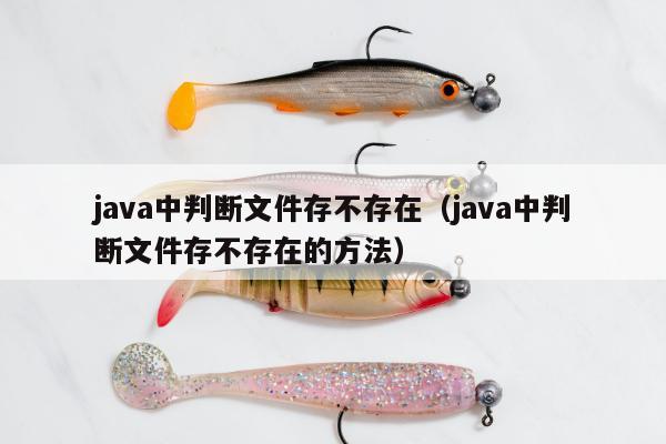 java中判断文件存不存在（java中判断文件存不存在的方法）