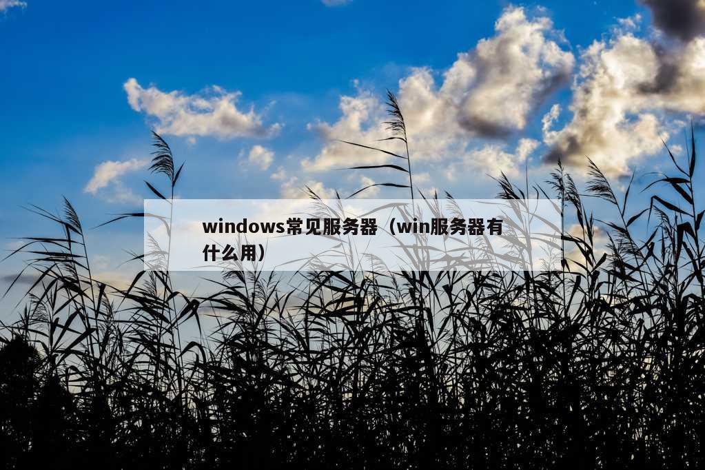 windows常见服务器（win服务器有什么用）