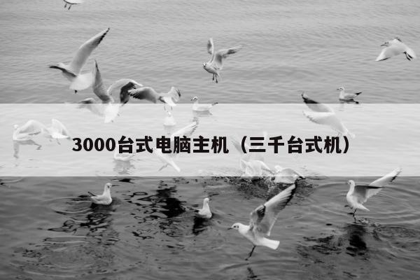 3000台式电脑主机（三千台式机）