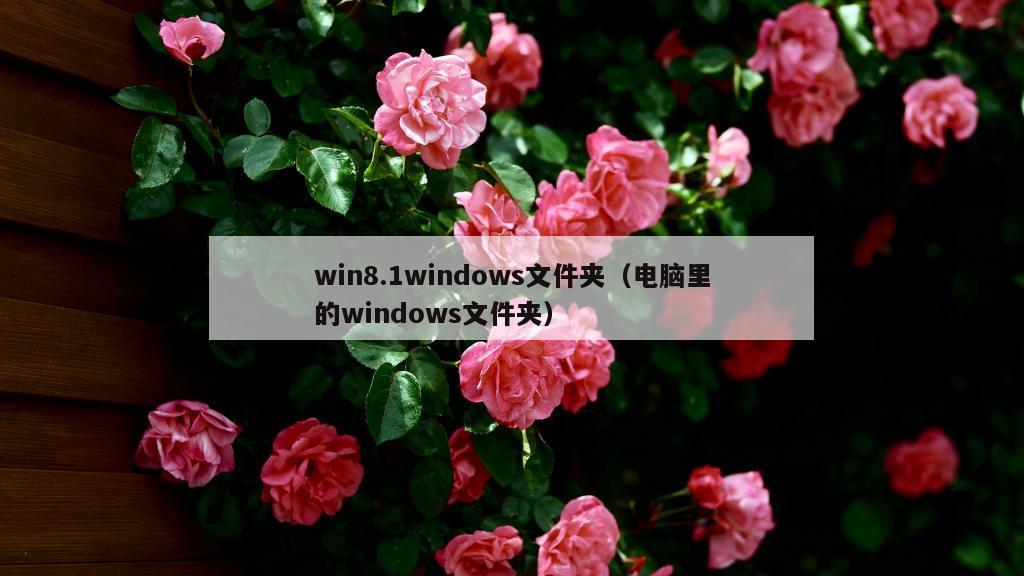 win8.1windows文件夹（电脑里的windows文件夹）