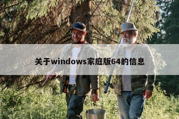 关于windows家庭版64的信息