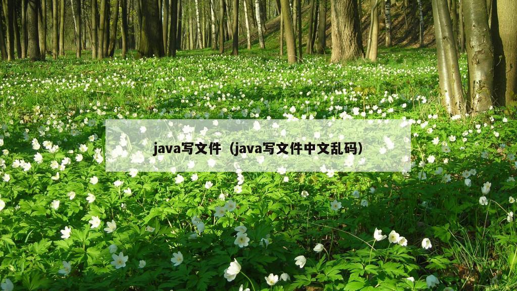 java写文件（java写文件中文乱码）