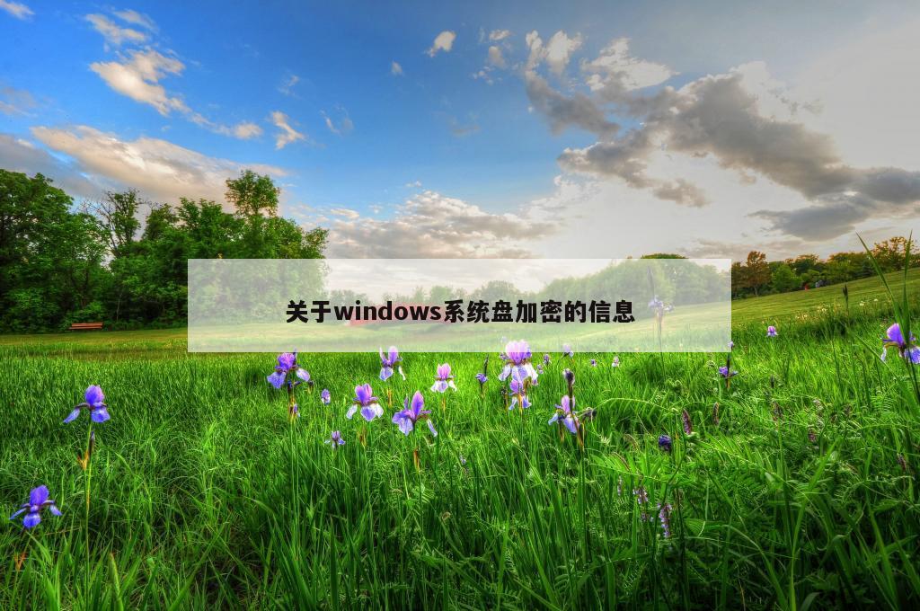 关于windows系统盘加密的信息