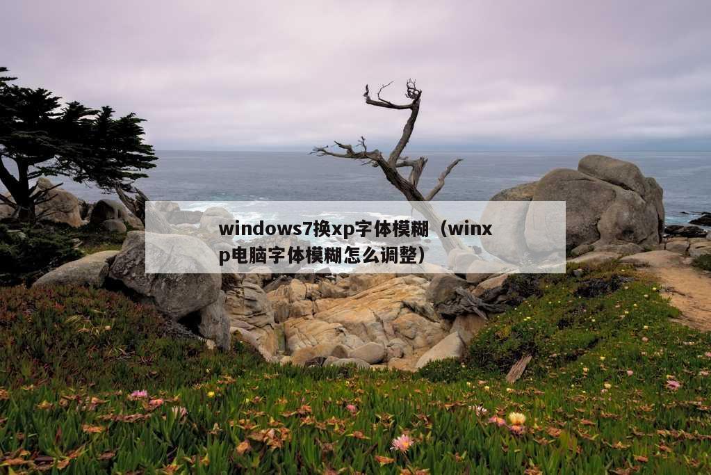 windows7换xp字体模糊（winxp电脑字体模糊怎么调整）