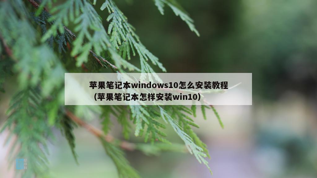 苹果笔记本windows10怎么安装教程（苹果笔记本怎样安装win10）