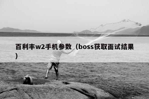 百利丰w2手机参数（boss获取面试结果）