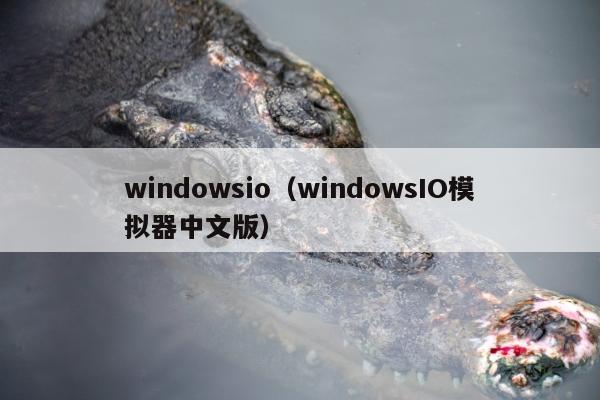 windowsio（windowsIO模拟器中文版）