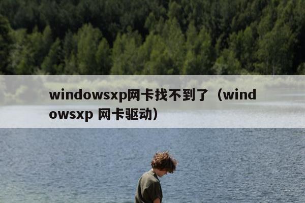 windowsxp网卡找不到了（windowsxp 网卡驱动）