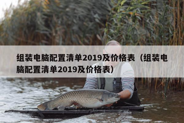 组装电脑配置清单2019及价格表（组装电脑配置清单2019及价格表）