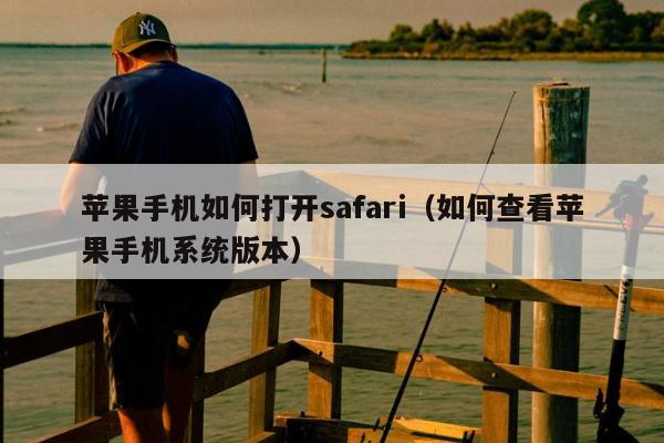 苹果手机如何打开safari（如何查看苹果手机系统版本）