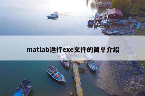 matlab运行exe文件的简单介绍